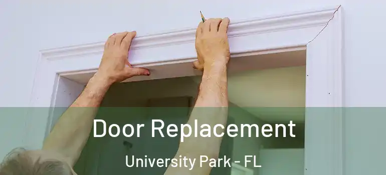  Door Replacement University Park - FL