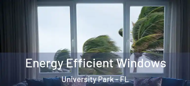  Energy Efficient Windows University Park - FL