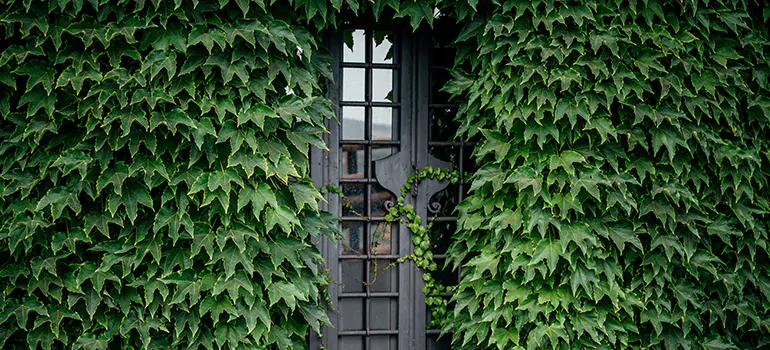 Garden Gate Repair in University Park, FL