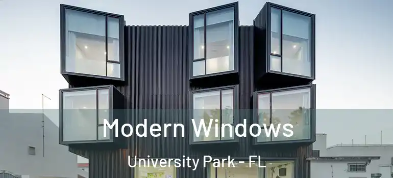 Modern Windows University Park - FL