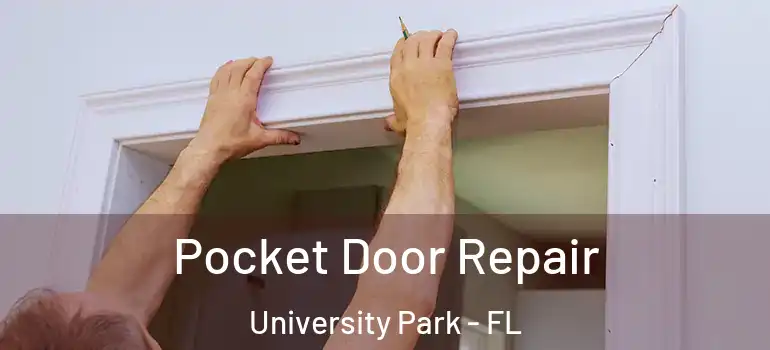  Pocket Door Repair University Park - FL