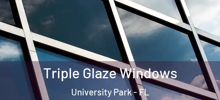  Triple Glaze Windows University Park - FL