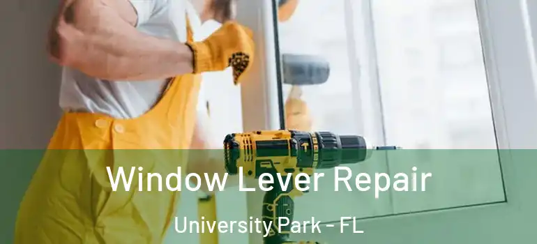  Window Lever Repair University Park - FL