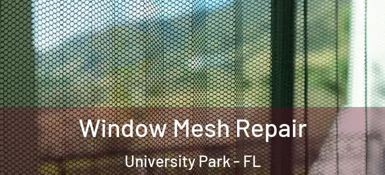  Window Mesh Repair University Park - FL