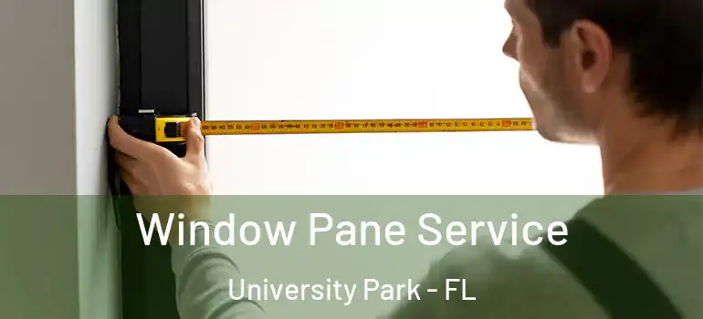  Window Pane Service University Park - FL